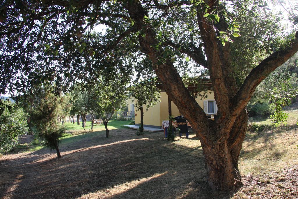 Agriturismo S'Arxola Villa Teulada Exteriör bild